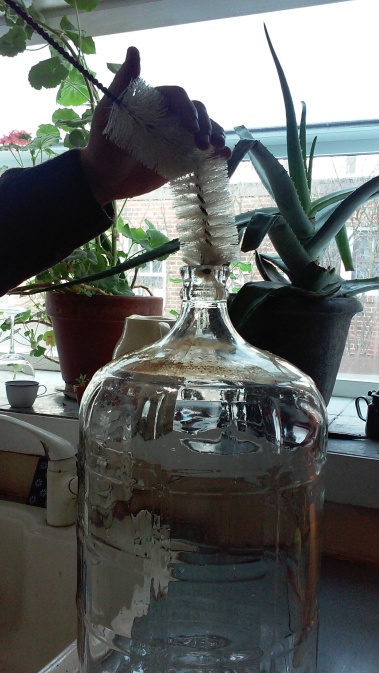 The Carboy-and everything else- needs to be carefully cleansed.