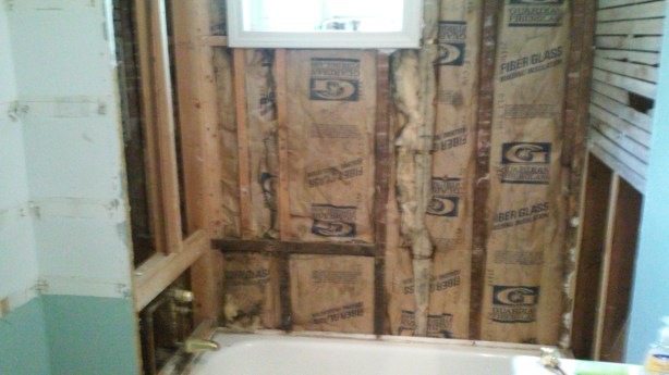 I thought I was just going to do a simple tile project around the shower.